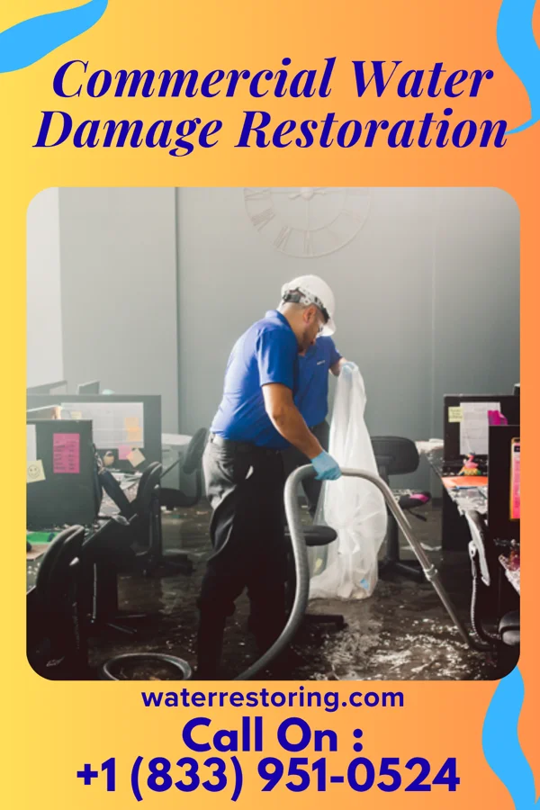 Commercial Water Damage Restoration in Waldron, KS
