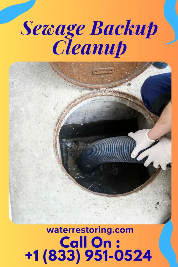 Sewage Backup Cleanup in Waldron, KS